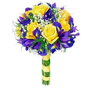   !.     . Belflower -    .     .
